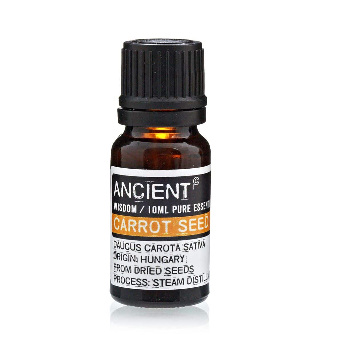 bG9jYWw6Ly9tZWRpYS85Ti8yRC82MFIzMEMxRzY0VksyRDlOLzVhYzNiMDAyLmpwZWc 10 ml Carrot Seed Essential Oil - Image 1