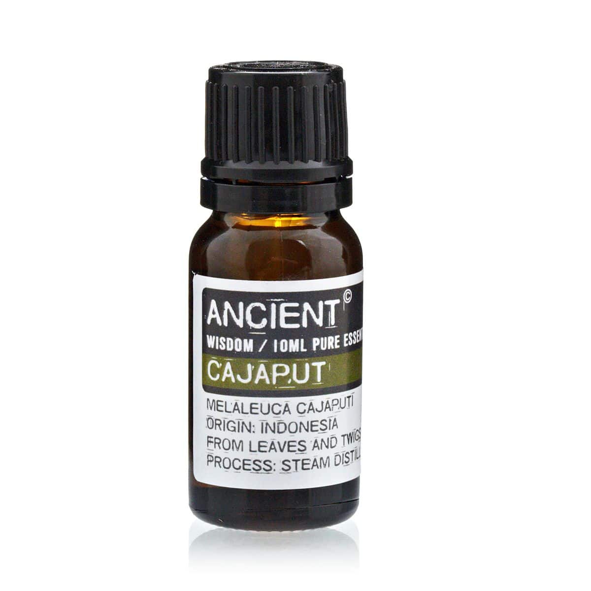 bG9jYWw6Ly9tZWRpYS85UC8yRC82MFIzMEMxRzY0VksyRDlQL2IwMzE1ZDkyLmpwZWc 10 ml Cajeput Essential Oil - Image 1
