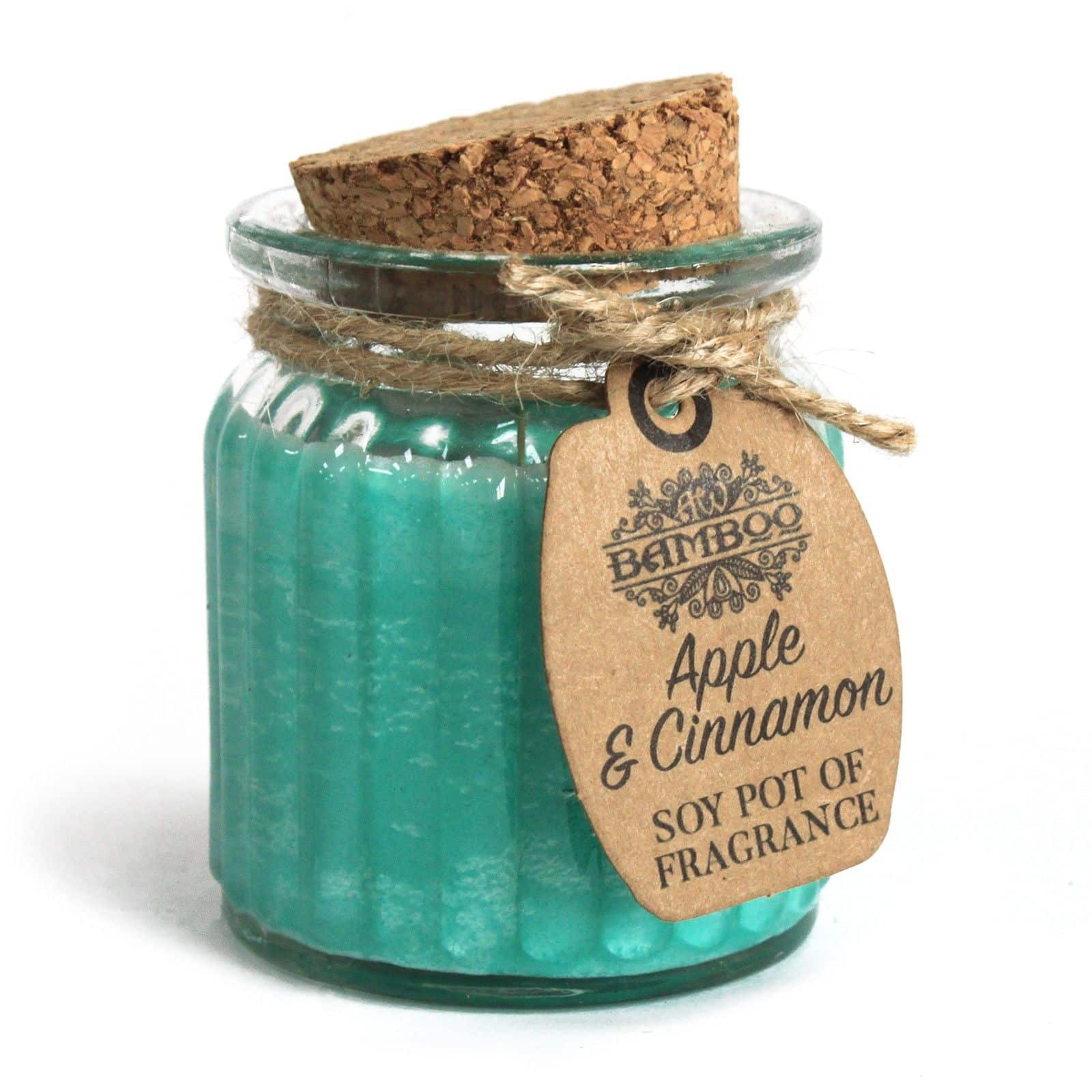 bG9jYWw6Ly9tZWRpYS8xRy8yRC82MFIzMEMxRzZHVjMyRDFHLzEzYWEzNzI1LmpwZWc Apple & Cinnamon Soy Pot of Fragrance Candle - Image 1