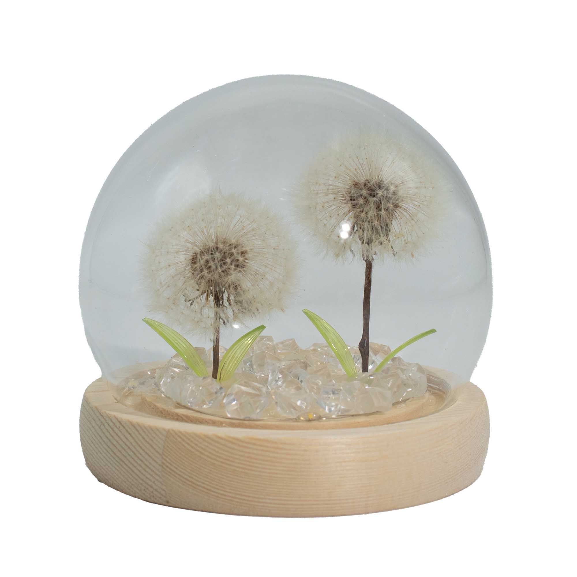 bG9jYWw6Ly9tZWRpYS8xSC9BQy82MFIzMEMxSjY0VktBQzFILzZjN2E1ODc3LmpwZw Floral Glow Garden Dome - 2 Dandelions - LED USB - Image 1
