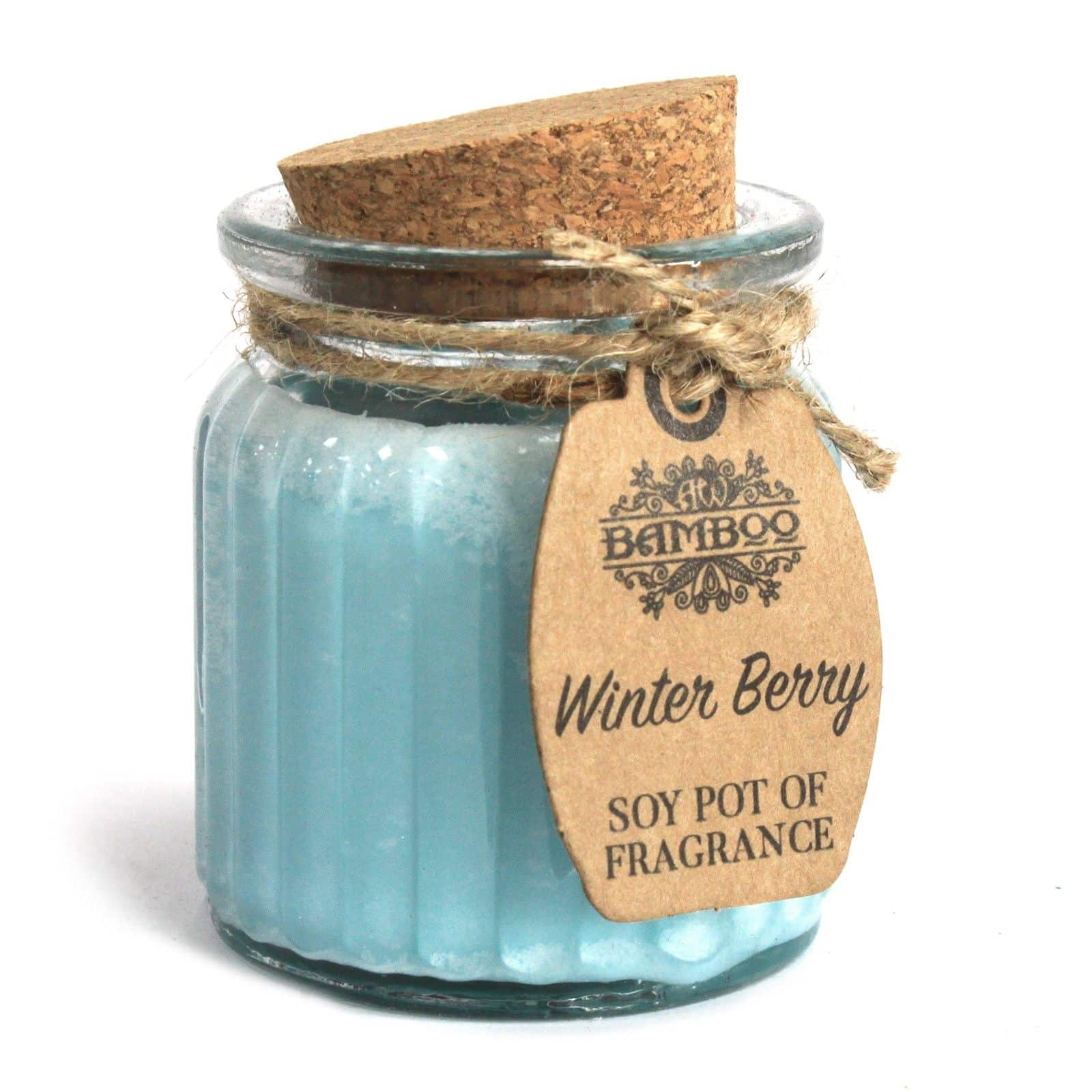bG9jYWw6Ly9tZWRpYS9ISi8yQy82MFIzMEMxRzZHVjMyQ0hKL2Y3YmZkNjk5LmpwZWc Winter Berry Soy Pot of Fragrance Candles - Image 1