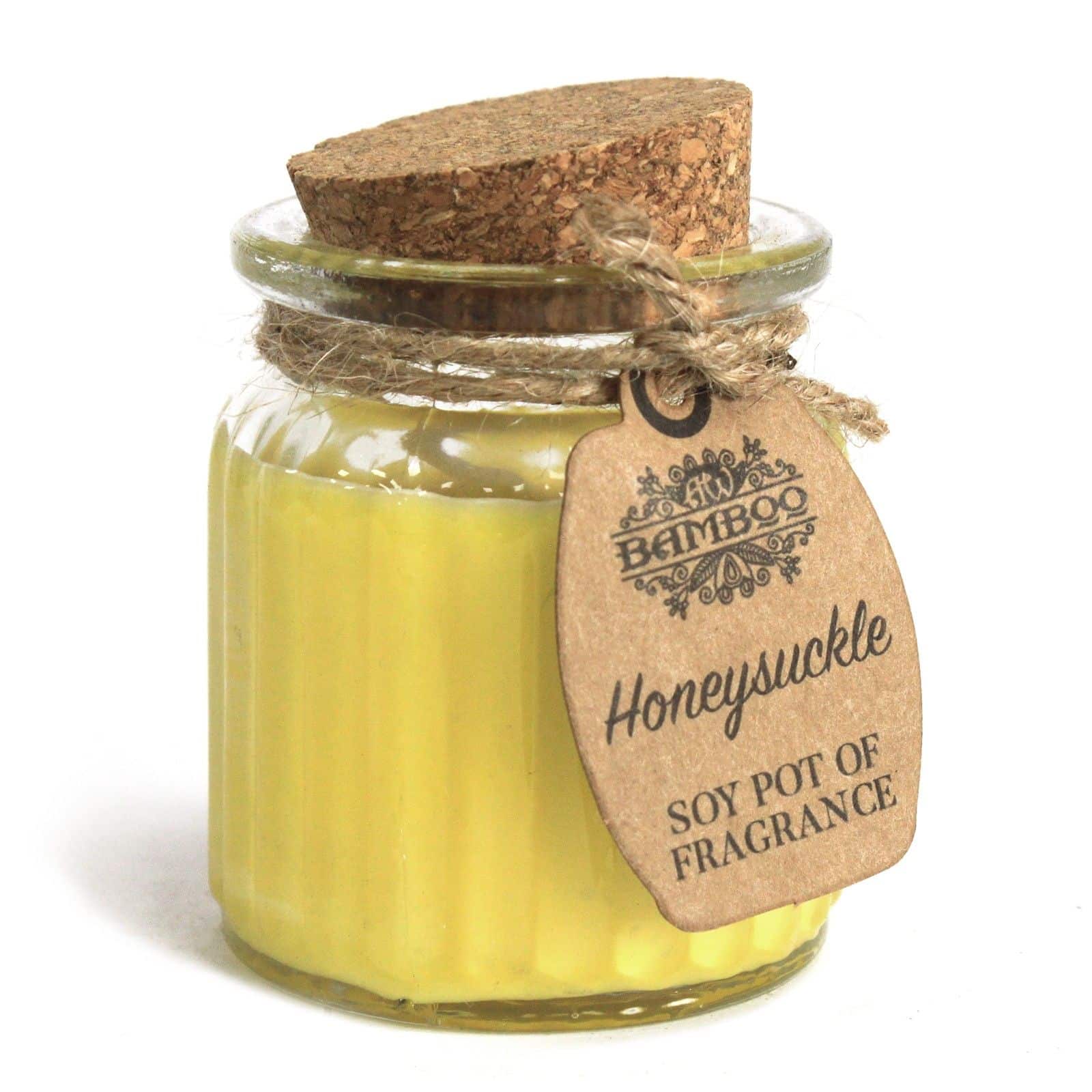 bG9jYWw6Ly9tZWRpYS9ITi8yQy82MFIzMEMxRzZHVjMyQ0hOLzUzNDczY2U5LmpwZWc Honeysuckle Soy Pot of Fragrance Candle - Image 1
